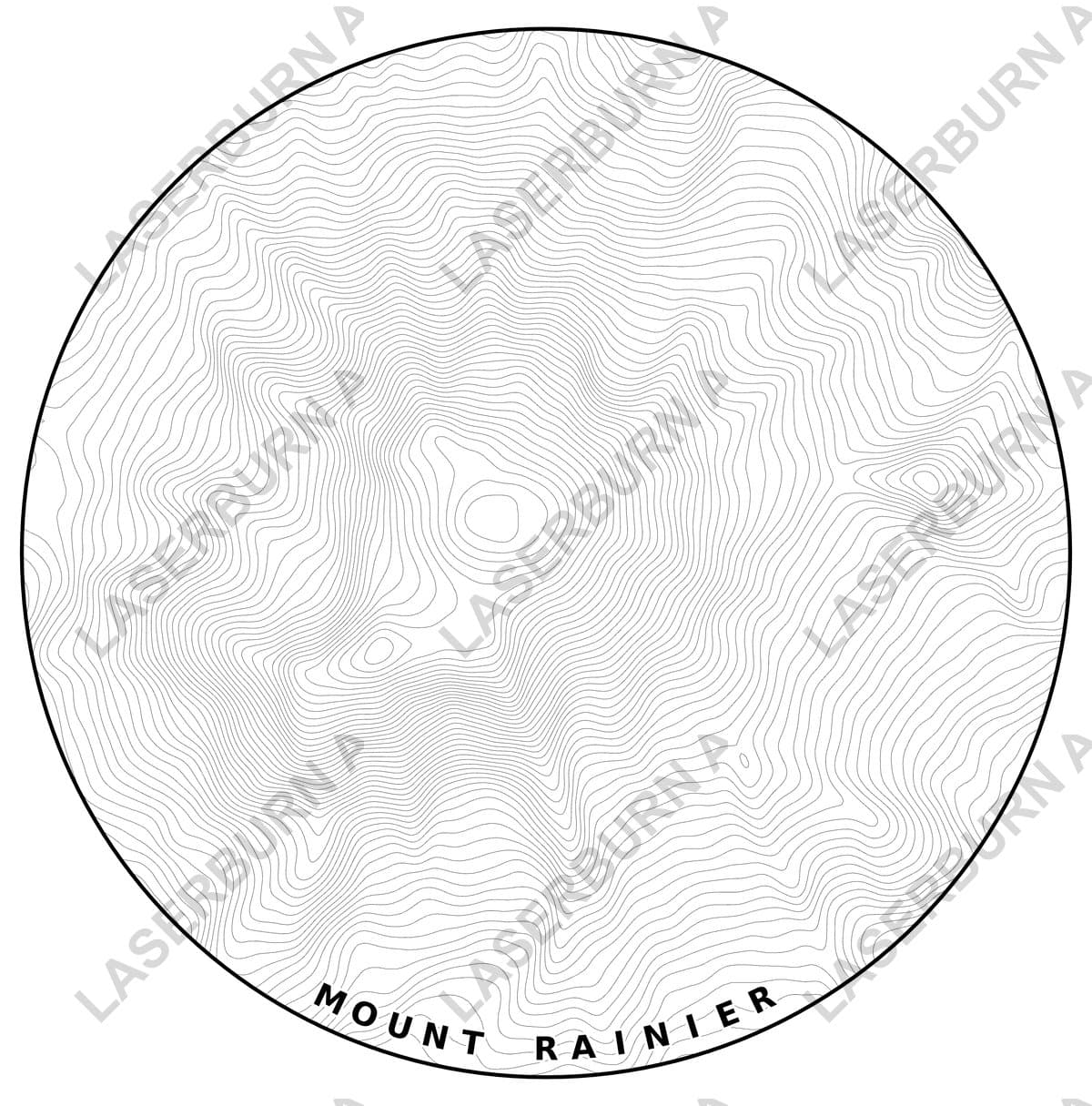 Mount Rainier Topographic Map