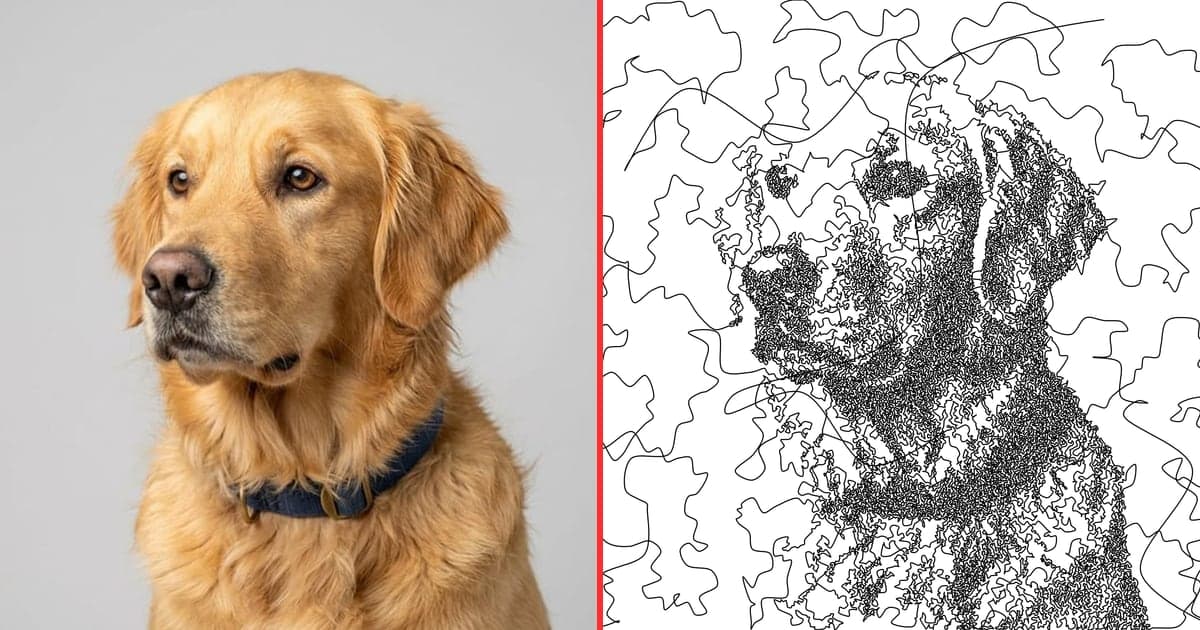 A golden retriever photo on the left and the same dog on the right drawn as one continuous scribble line, made with the LaserBurn AI single line art generator
