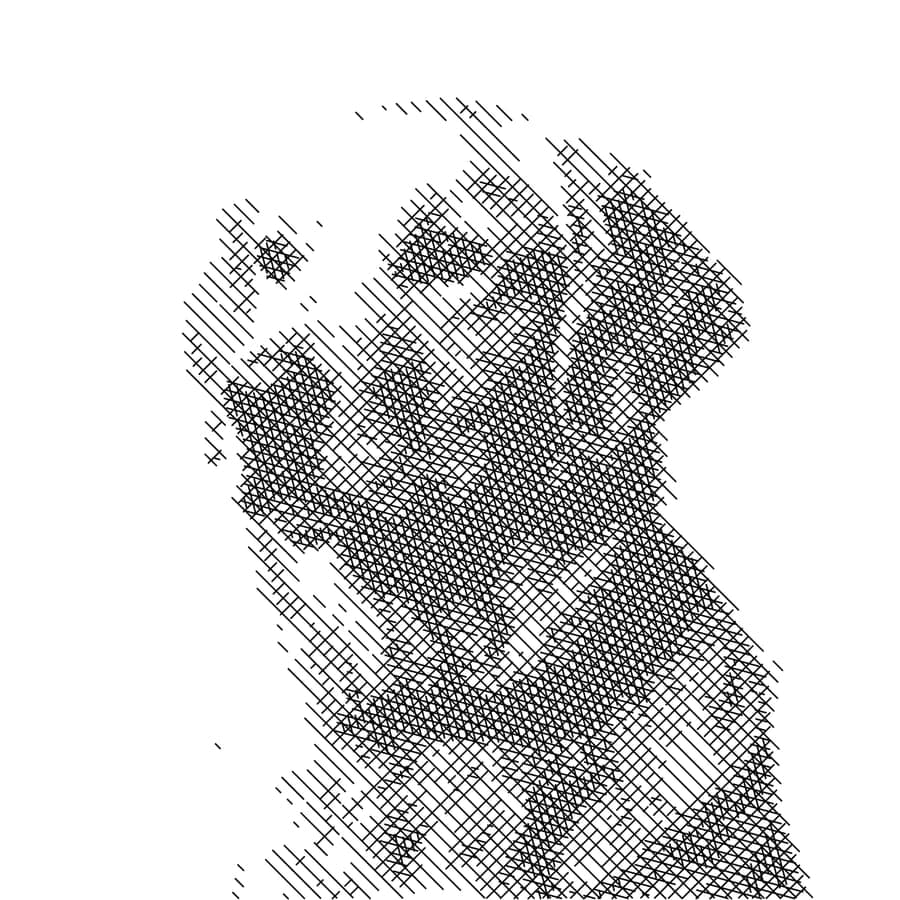 Golden retriever portrait in pen-and-ink crosshatching built from straight line layers in four tonal bands