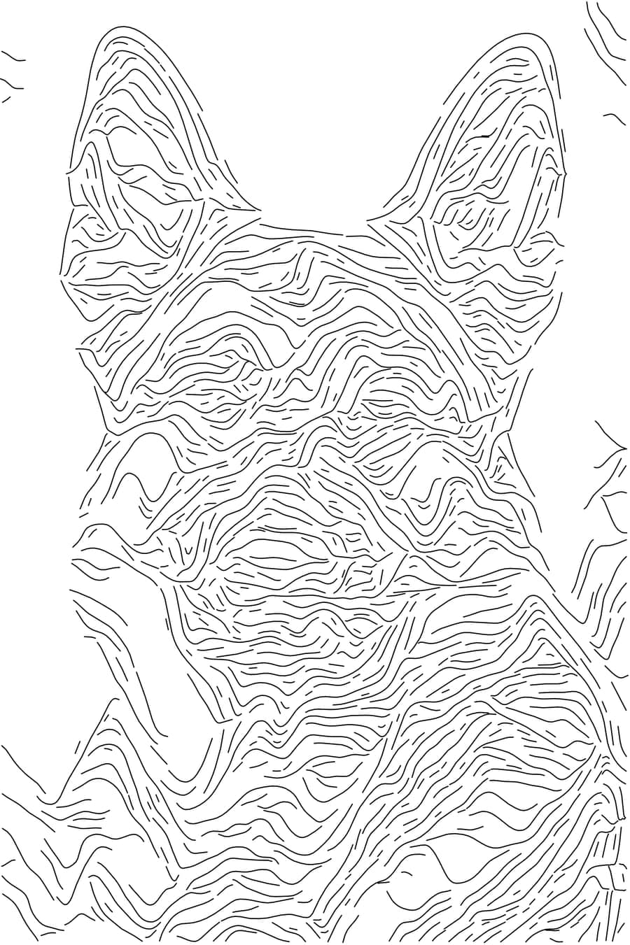 German shepherd portrait drawn with flowing streamlines that follow the contours of the fur and face