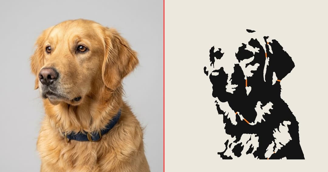 A golden retriever photo next to the same dog as a one-piece stencil with orange bridges