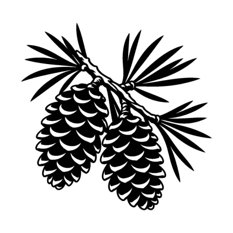 Pinecone Branch
