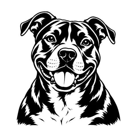 Pit Bull